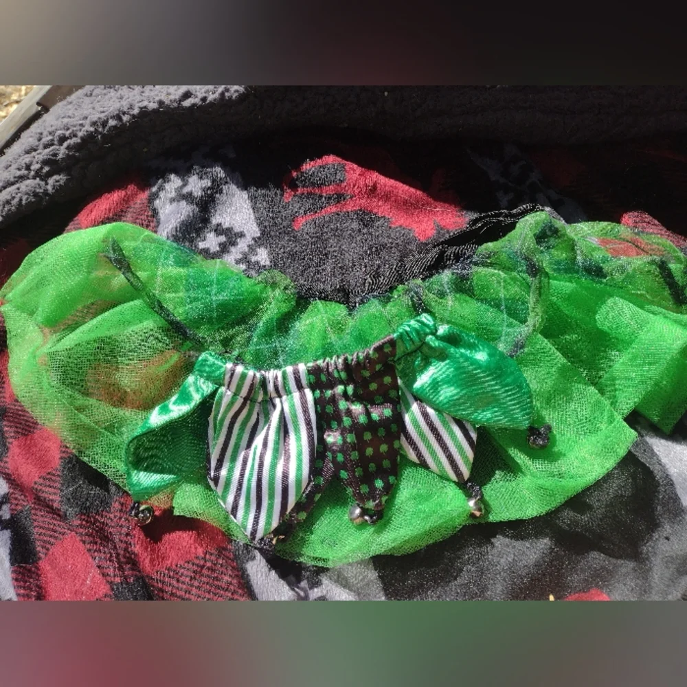Green tutu and collar